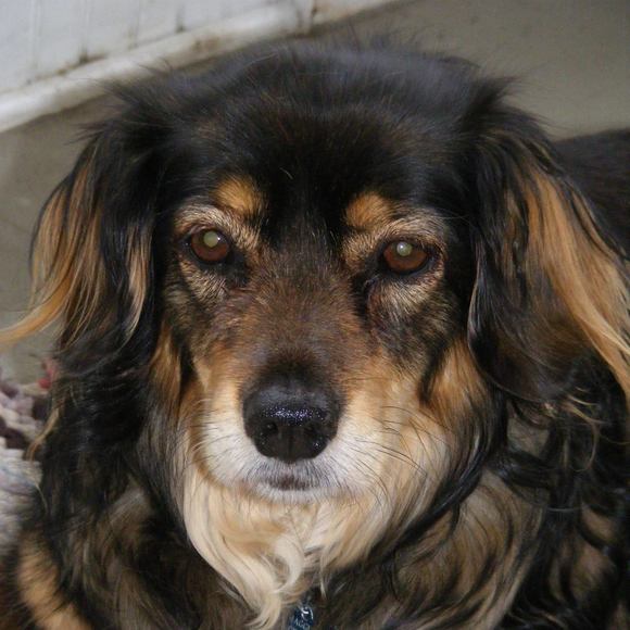 Meet your Posher, John - Picture 1 of 1